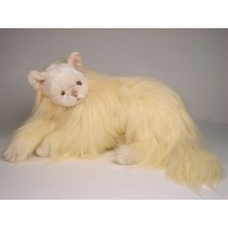 Angora Cat 2335 by Piutrè