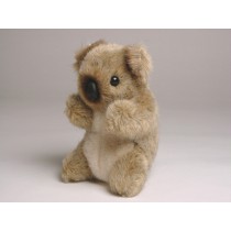 Baby Koala 2674 by Piutrè 