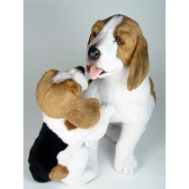 Beagle with Puppy 2241 by Piutrè 