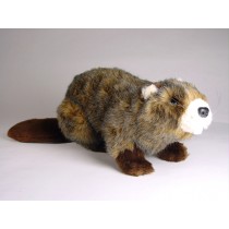 Beaver 2659 by Piutrè 