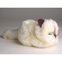 Beige Kitten 2326 by Piutrè 