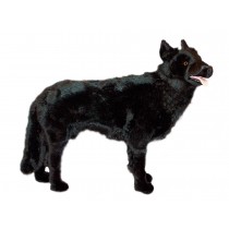 Belgian Sheepdog 1251 by Piutrè 