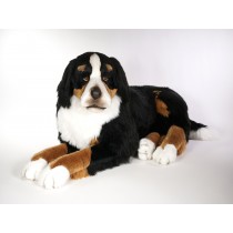 Bernese Mountain Dog 1262 by Piutrè 