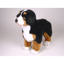 Bernese Mountain Dog Puppy 1263 by Piutrè