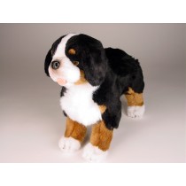 Bernese Mountain Dog Puppy 3326 by Piutrè 