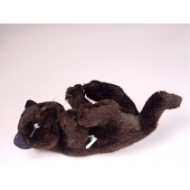 Black Kitten 2443 by Piutrè 