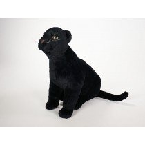 ​Black Panther Cub 2521 by Piutrè