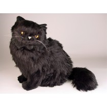 Black Persian Cat 2396 by Piutrè 