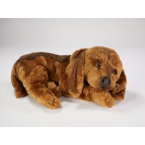 Bloodhound Puppy 3220​ by Piutrè