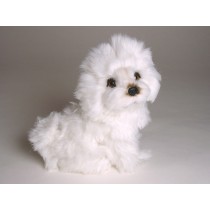 Bolognese Puppy 1308 by Piutrè
