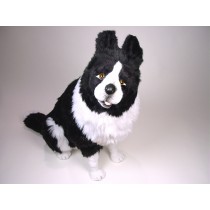Border Collie 1215 by Piutrè