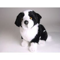 Border Collie Puppy 1217 by Piutrè