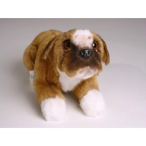 Boxer (Miniature) 4250 by Piutrè 