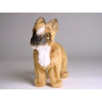 Boxer (Miniature) 4251 by Piutrè 