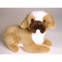 Boxer Puppy (Mascot) 4207 by Piutrè 