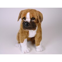 Boxer Puppy 2284 by Piutrè