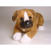 Boxer Puppy 2285 by Piutrè