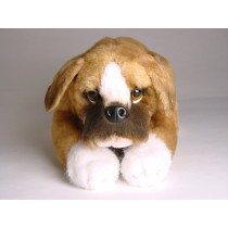 Boxer Puppy 2286 by Piutrè 
