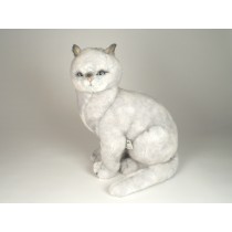British Shorthair Cat 2460 by Piutrè 