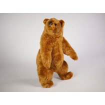Brown Bear Cub 2124 by Piutrè