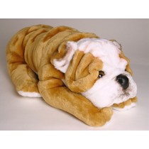 Bulldog Puppy 3287 by Piutrè 
