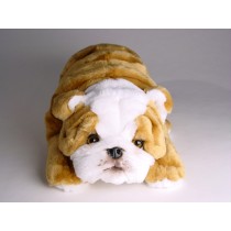Bulldog Puppy 3288 by Piutrè 