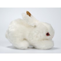 Bunny 0707 by Piutrè