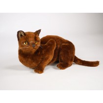 Burmese Cat 2329 by Piutrè