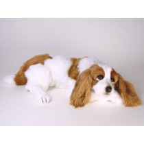 Cavalier-King-Charles-Spaniel-