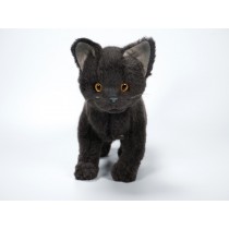 Certosino (Carthusian) Kitten 2323 by Piutrè