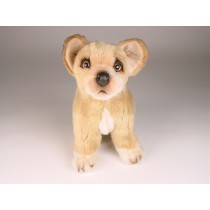 Chihuahua 3237 by Piutrè 