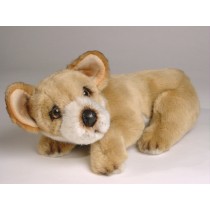 Chihuahua 3238 by Piutrè 