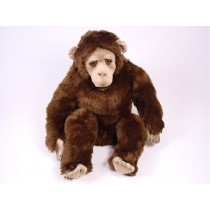 Chimpanzee 2571 by Piutrè 