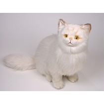 Chinchilla Golden Persian Cat 2305 by Piutrè 