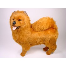 Chow Chow 3246 by Piutrè 