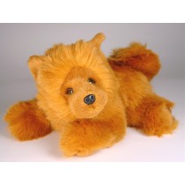 Chow Chow Puppy (Morbidone) 2613 by Piutrè