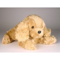 Cocker Spaniel Puppy (Morbidone) 2618 by Piutrè 