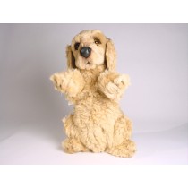 Cocker Spaniel Puppy 3200 by Piutrè