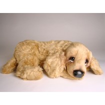 Cocker Spaniel Puppy 3203 by Piutrè