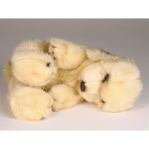 Cocker Spaniel Puppy 3209 by Piutrè 