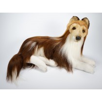Collie 1277 by Piutrè