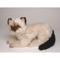 Colorpoint Ragdoll Cat 2361 by Piutrè 