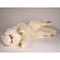 Cream Persian Cat 0317 by Piutrè
