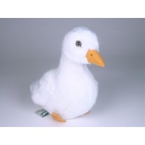 Cygnet 0731 by Piutrè