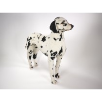 Dalmatian 3240 by Piutrè 
