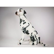 Dalmatian 3241 by Piutrè 