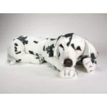 Dalmatian 3245 by Piutrè