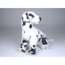 Dalmatian Puppy 3243 by Piutrè 