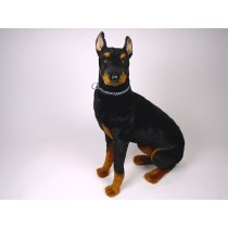 Doberman Pinscher 0270 by Piutrè