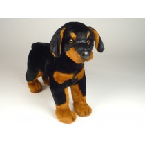 Doberman Pinscher Puppy 0267 by Piutrè